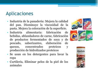 Aplicaciones
• Industria de la panadería: Mejora la calidad
del pan. Disminuye la viscosidad de la
pasta. Mejora la coloración de la superficie.
• Industria alimentaria: fabricación de
bebidas, ablandadores de carne, fabricación
de productos fermentados de soya y de
pescado, saborizantes, elaboración de
quesos, concentrados proteicos y
producción de hidrolizados proteicos
• Se usan en los detergentes para lavar la
ropa
• Curtileria, Eliminar pelos de la piel de los
animales
 