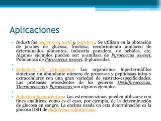 Aplicaciones
• Industrias azucarera, textil y papelera: Se utilizan en la obtención
de jarabes de glucosa, fructosa, recubrimiento amiláceo de
determinados alimentos, industria panadera, de bebidas, etc.
Algunos ejemplos pueden ser: α-amilasa de Pyrococcus woesei,
Pululanasa de Pyrococcus woesei, β-glucosidas.
•
• Industria de detergentes: Los organismos hipertermófilos
sintetizan un abundante número de proteasas y peptidasas intra y
extracelulares con una gran variedad de sustrato-especificidades.
Las proteasas procedentes de los géneros Desulfurococcus,
Thermococcus y Pyrococcus son algunos ejemplos.
•
• Industria farmacéutica: Las extremoenzimas pueden utilizarse con
fines analíticos, como es el caso, por ejemplo, de la determinación
de glucosa en sangre. La enzima usada en esta determinación es la
glucosa DSH de Sulfolobus solfataricus.
 