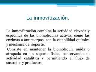 La inmovilización.
La inmovilización combina la actividad elevada y
especifica de las biomoléculas activas, como las
enzimas o anticuerpos, con la estabilidad química
y mecánica del soporte.
Consiste en mantener la biomolécula unida o
atrapada en un soporte físico, conservando su
actividad catalítica y permitiendo el flujo de
sustratos y productos.
 