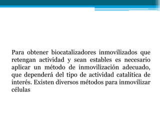 Para obtener biocatalizadores inmovilizados que
retengan actividad y sean estables es necesario
aplicar un método de inmovilización adecuado,
que dependerá del tipo de actividad catalítica de
interés. Existen diversos métodos para inmovilizar
células
 