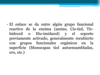 • El enlace se da entre algún grupo funcional
reactivo de la enzima (amino, Cis-tiol, Tir-
hidroxil o His-imidazol) y el soporte
previamente activado, generalmente recubierto
con grupos funcionales orgánicos en la
superficie (Monocapas tiol autoensambladas,
oro, etc.)
 