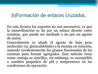 b)Formación de enlaces cruzados.
En esta técnica los soportes no son necesarios, ya que
la inmovilización se da por un enlace directo entre
enzimas, que puede ser mediado o no por un agente
de unión.
Generalmente se añade el agente de bajo peso
molecular (ej. glutaraldehído) a la enzima en solución,
uniendo covalentemente los grupos funcionales de las
enzimas para formar agregados. Este método tiene
como ventaja su sencillez, sin embargo, es susceptible
a cambios pequeños de pH y temperatura en las
condiciones de operación .
 