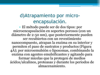 d)Atrapamiento por micro-
encapsulación.
• El método puede ser de dos tipos: por
microencapsulación en soportes porosos (con un
diámetro de 2-50 nm), que posteriormente pueden
ser recubiertos con un revestimiento
nanocompuesto, atrapan la enzima en su interior y
permiten el paso de sustratos y productos (Figura
4A); por microemulsión o liposomas, combinando la
enzima con agentes emulsificantes y agitando para
formar micelas que la protegen de medios
ácidos/alcalinos, proteasas y durante los periodos de
almacenamiento.
 