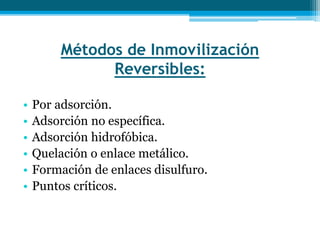 Métodos de Inmovilización
Reversibles:
• Por adsorción.
• Adsorción no específica.
• Adsorción hidrofóbica.
• Quelación o enlace metálico.
• Formación de enlaces disulfuro.
• Puntos críticos.
 