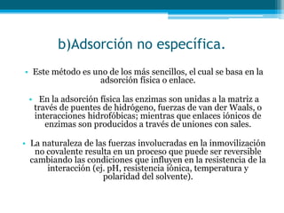 b)Adsorción no específica.
• Este método es uno de los más sencillos, el cual se basa en la
adsorción física o enlace.
• En la adsorción física las enzimas son unidas a la matriz a
través de puentes de hidrógeno, fuerzas de van der Waals, o
interacciones hidrofóbicas; mientras que enlaces iónicos de
enzimas son producidos a través de uniones con sales.
• La naturaleza de las fuerzas involucradas en la inmovilización
no covalente resulta en un proceso que puede ser reversible
cambiando las condiciones que influyen en la resistencia de la
interacción (ej. pH, resistencia iónica, temperatura y
polaridad del solvente).
 