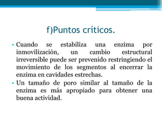 f)Puntos críticos.
• Cuando se estabiliza una enzima por
inmovilización, un cambio estructural
irreversible puede ser prevenido restringiendo el
movimiento de los segmentos al encerrar la
enzima en cavidades estrechas.
• Un tamaño de poro similar al tamaño de la
enzima es más apropiado para obtener una
buena actividad.
 