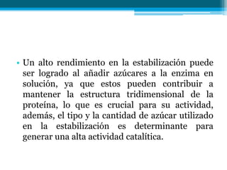 • Un alto rendimiento en la estabilización puede
ser logrado al añadir azúcares a la enzima en
solución, ya que estos pueden contribuir a
mantener la estructura tridimensional de la
proteína, lo que es crucial para su actividad,
además, el tipo y la cantidad de azúcar utilizado
en la estabilización es determinante para
generar una alta actividad catalítica.
 