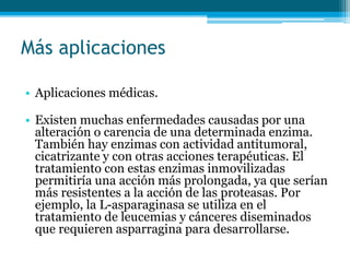 Más aplicaciones
• Aplicaciones médicas.
• Existen muchas enfermedades causadas por una
alteración o carencia de una determinada enzima.
También hay enzimas con actividad antitumoral,
cicatrizante y con otras acciones terapéuticas. El
tratamiento con estas enzimas inmovilizadas
permitiría una acción más prolongada, ya que serían
más resistentes a la acción de las proteasas. Por
ejemplo, la L-asparaginasa se utiliza en el
tratamiento de leucemias y cánceres diseminados
que requieren asparragina para desarrollarse.
 