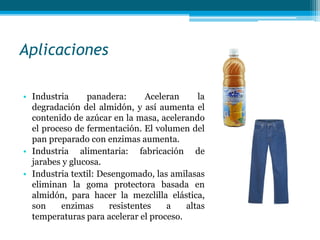 Aplicaciones
• Industria panadera: Aceleran la
degradación del almidón, y así aumenta el
contenido de azúcar en la masa, acelerando
el proceso de fermentación. El volumen del
pan preparado con enzimas aumenta.
• Industria alimentaria: fabricación de
jarabes y glucosa.
• Industria textil: Desengomado, las amilasas
eliminan la goma protectora basada en
almidón, para hacer la mezclilla elástica,
son enzimas resistentes a altas
temperaturas para acelerar el proceso.
 