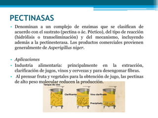 PECTINASAS
• Denominan a un complejo de enzimas que se clasifican de
acuerdo con el sustrato (pectina o ác. Péctico), del tipo de reacción
(hidrólisis o transeliminación) y del mecanismo, incluyendo
además a la pectinesterasa. Los productos comerciales provienen
generalmente de Asperigillus niger.
• Aplicaciones
• Industria alimentaria: principalmente en la extracción,
clarificación de jugos, vinos y cervezas y para desengomar fibras.
• Al prensar fruta y vegetales para la obtención de jugo, las pectinas
de alto peso molecular reducen la producción.
 