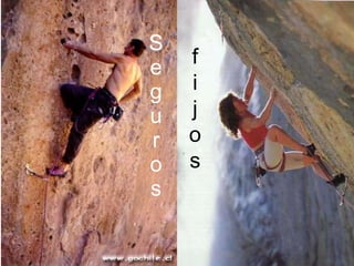 S e g u r o s f i j o s 