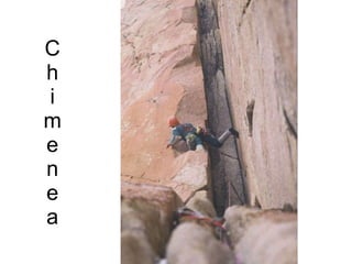 C h i m e n e a 
