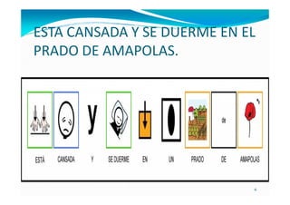 ESTA CANSADA Y SE DUERME EN EL
PRADO DE AMAPOLAS.




                             6
 