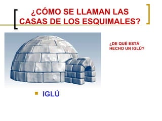 ¿CÓMO SE LLAMAN LAS
CASAS DE LOS ESQUIMALES?
¿DE QUÉ ESTÁ
HECHO UN IGLÚ?
IGLÚ