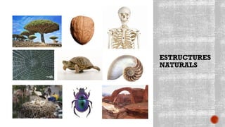 ESTRUCTURES
NATURALS
 
