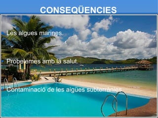 CONSEQÜENCIES Les algues marines. Probelemes amb la salut. Contaminació de les aigües subterrànies. 