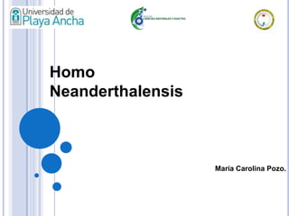 María Carolina Pozo.
Homo
Neanderthalensis
 