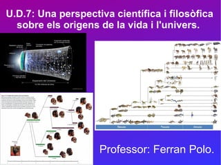 U.D.7: Una perspectiva científica i filosòfica
sobre els origens de la vida i l'univers.
Professor: Ferran Polo.
 