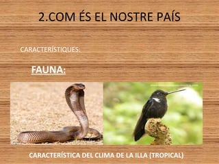 2.COM ÉS EL NOSTRE PAÍS
CARACTERÍSTIQUES:
FAUNA:
CARACTERÍSTICA DEL CLIMA DE LA ILLA (TROPICAL)
 