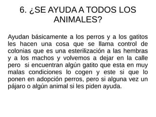 6. ¿SE AYUDA A TODOS LOS
ANIMALES?
Ayudan básicamente a los perros y a los gatitos
les hacen una cosa que se llama control de
colonias que es una esterilización a las hembras
y a los machos y volvemos a dejar en la calle
pero si encuentran algún gatito que esta en muy
malas condiciones lo cogen y este si que lo
ponen en adopción perros, pero si alguna vez un
pájaro o algún animal si les piden ayuda.
 