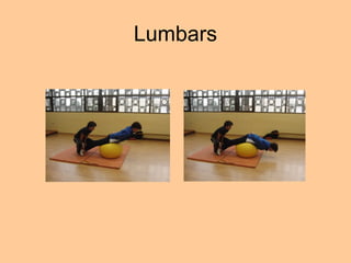 Lumbars
 
