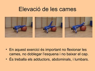 Elevació de les cames




• En aquest exercici és important no flexionar les
  cames, no doblegar l’esquena i no baixar el cap.
• És treballa els adductors, abdominals, i lumbars.
 