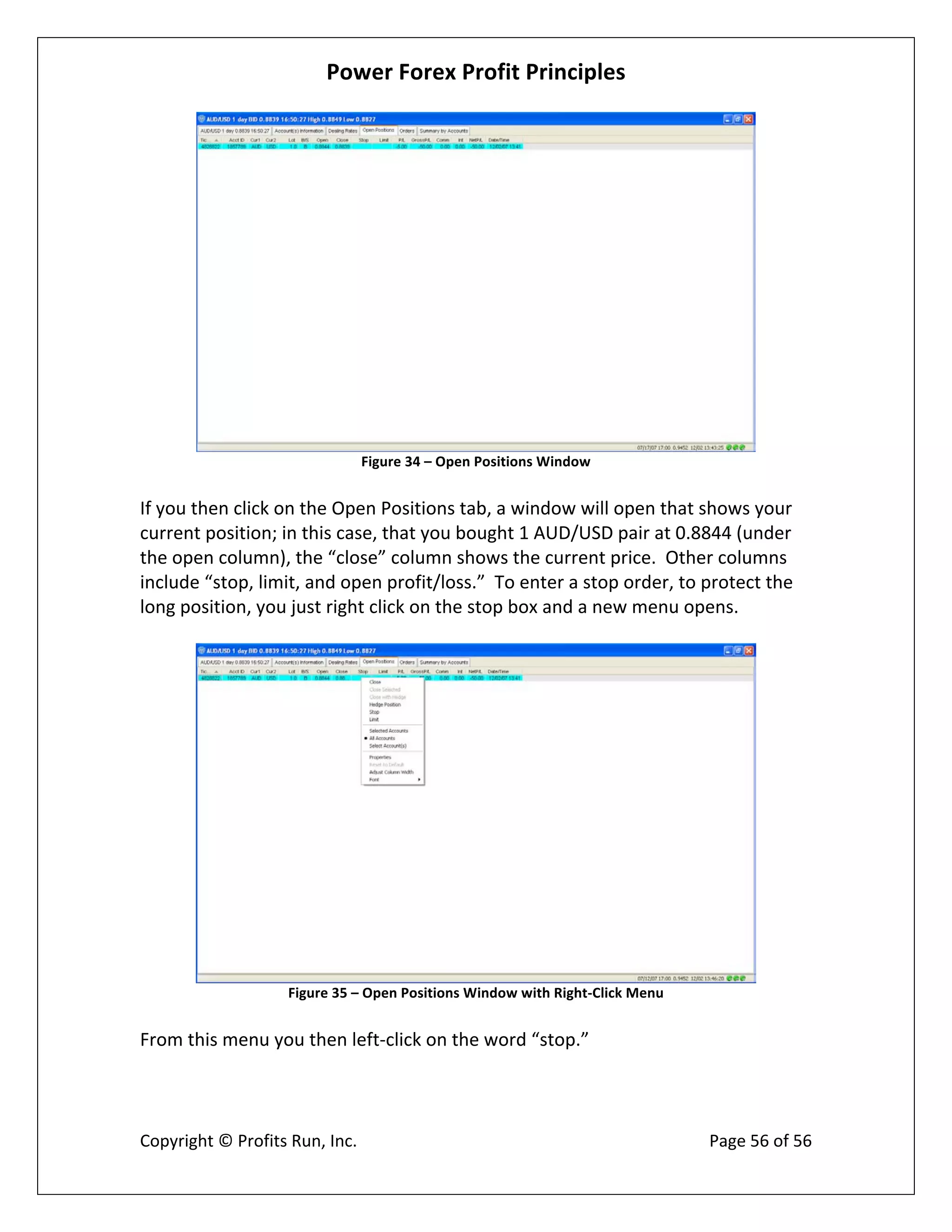 Power Forex Profit Principle