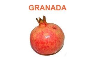 GRANADA
 