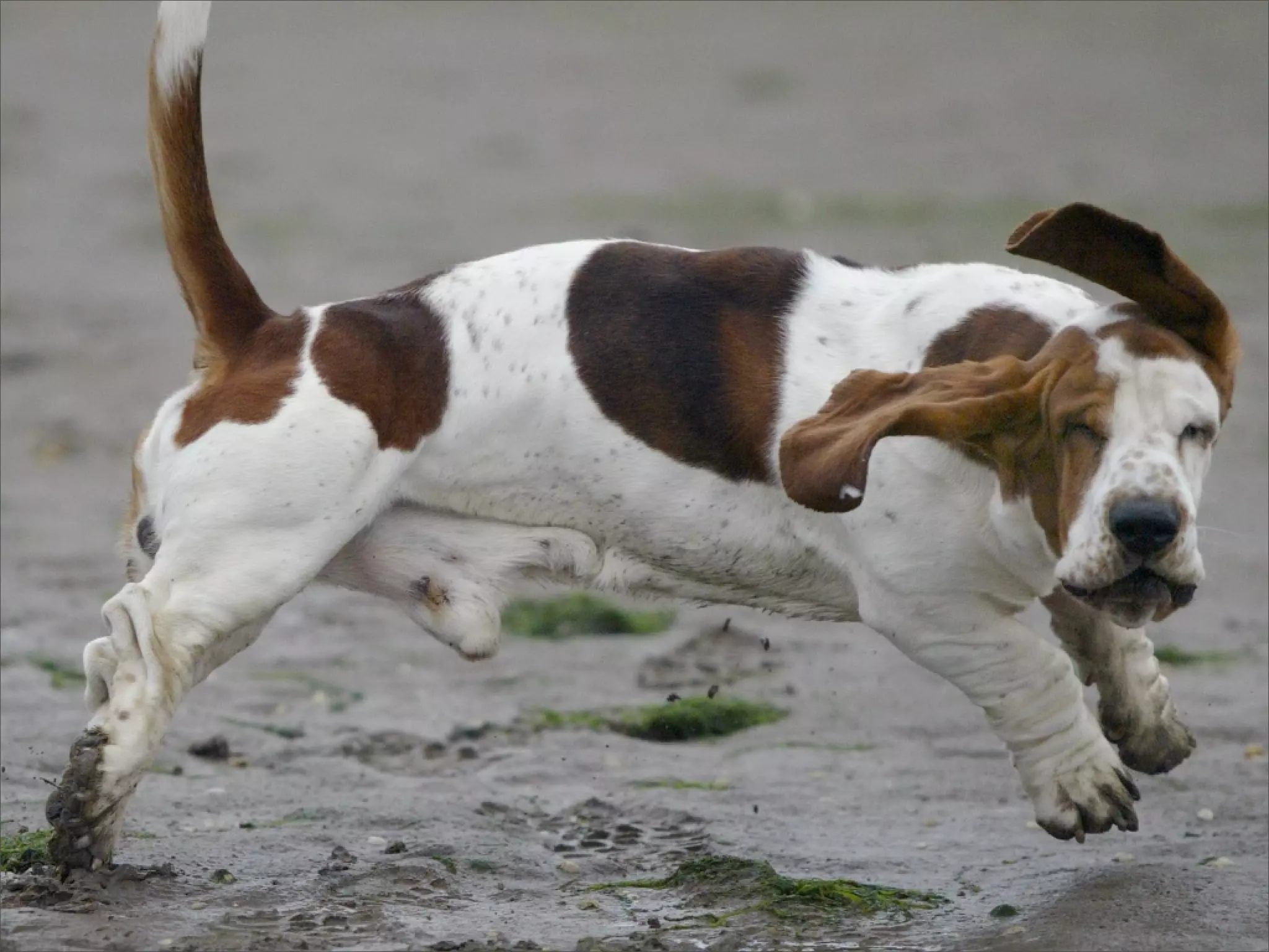 Powerful, Pointed Presentations