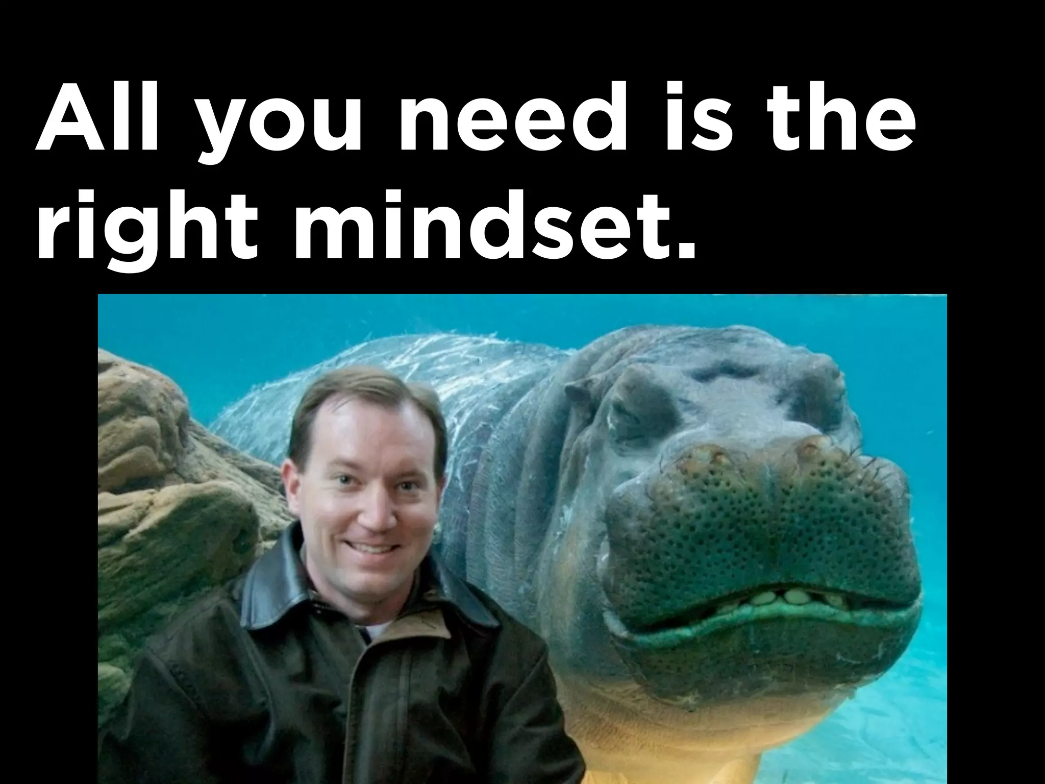 All you need is the
right mindset.
 