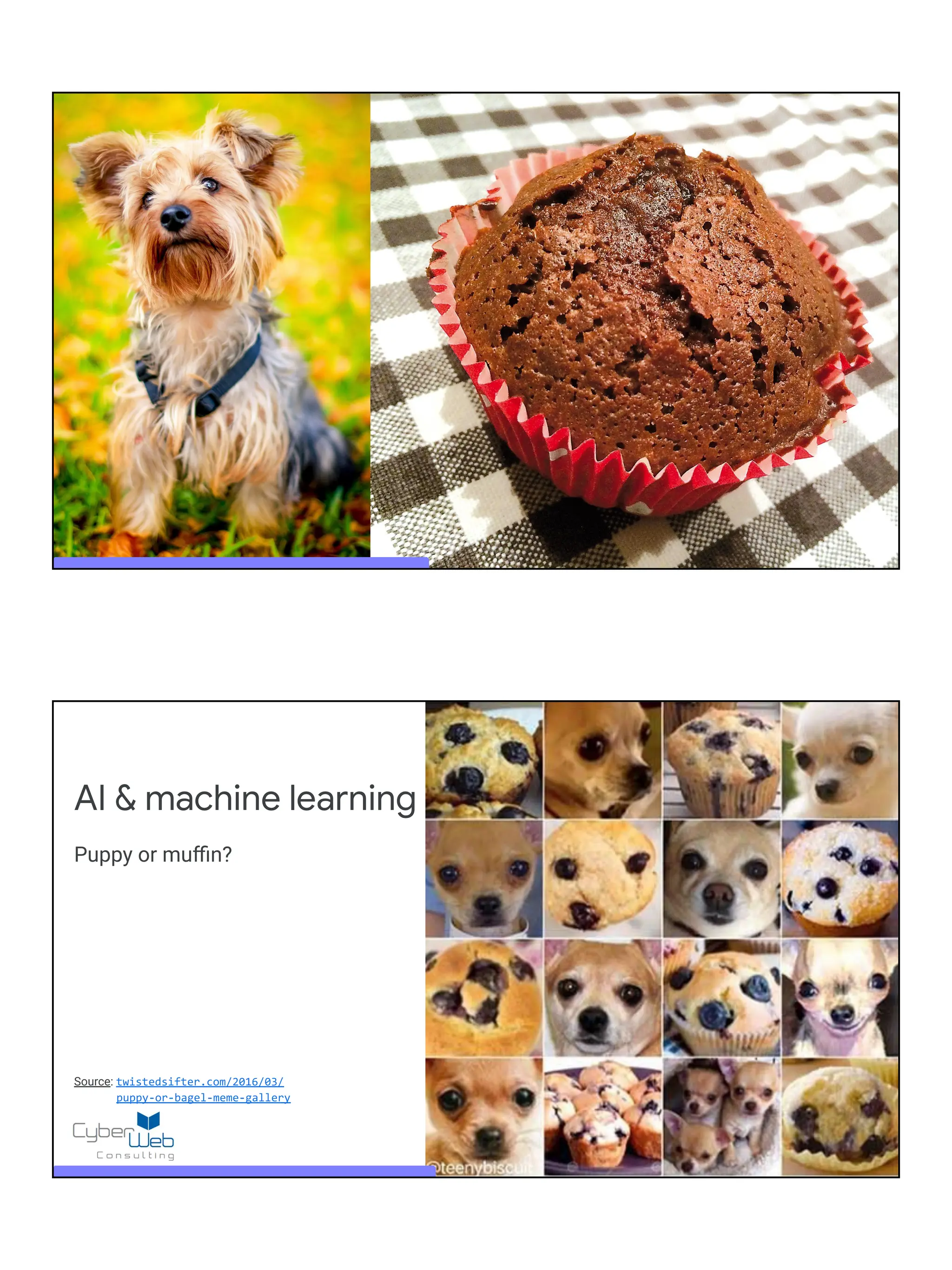 AI & machine learning
Puppy or muﬃn?
Source: twistedsifter.com/2016/03/
puppy-or-bagel-meme-gallery
 