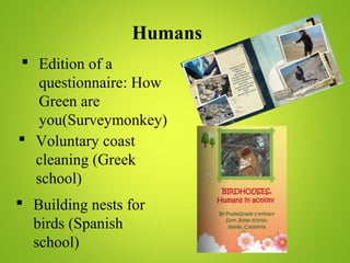 Humans
 Edition of a
questionnaire: How
Green are
you(Surveymonkey)
 Voluntary coast
cleaning (Greek
school)
 Building nests for
birds (Spanish
school)
 