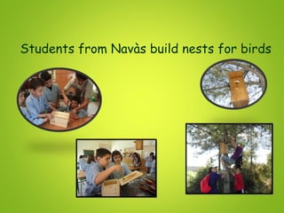 Students from Navàs build nests for birds
 