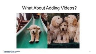 What About Adding Videos?
35
 