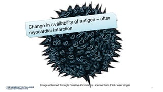 Image obtained through Creative Commons License from Flickr user ringai
37
 