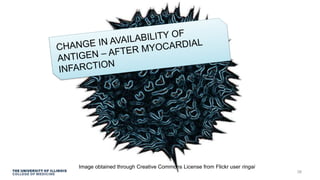 38
Image obtained through Creative Commons License from Flickr user ringai
 