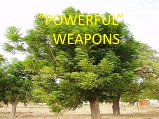 Powerful  Weapons