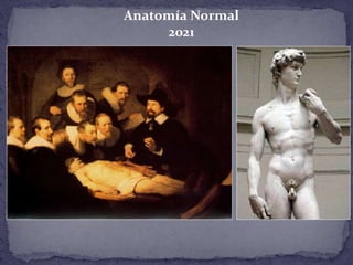 Anatomía Normal
2021
 