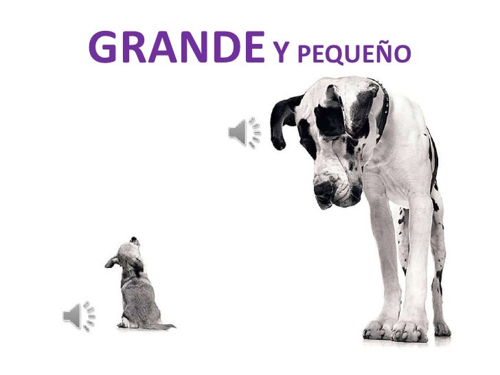 powerpoint grande y pequeño