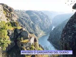 ARRIBES O GARGANTAS DEL DUEROARRIBES O GARGANTAS DEL DUERO
 