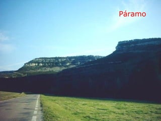 Páramo
 