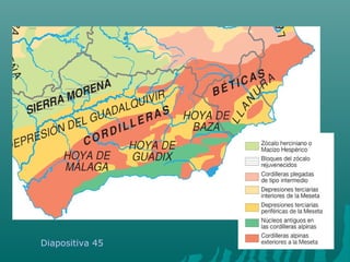 Diapositiva 45
 