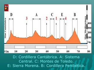 D: Cordillera Cantábrica. A: Sistema
Central. C: Montes de Toledo.
E: Sierra Morena. B: Cordillera Penibética.
 