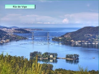 Ría de VigoRía de Vigo
 