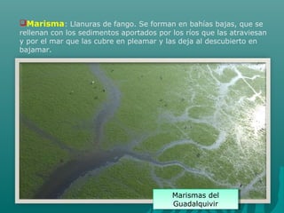 Marisma: Llanuras de fango. Se forman en bahías bajas, que se
rellenan con los sedimentos aportados por los ríos que las atraviesan
y por el mar que las cubre en pleamar y las deja al descubierto en
bajamar.
Marismas del
Guadalquivir
Marismas del
Guadalquivir
 