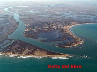 Delta del Ebro
 