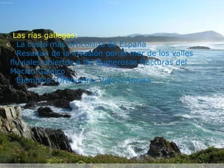 •Las rías gallegas:
La costa más articulada de España
Resultan de la invasión por el mar de los valles
fluviales abiertos a las numerosas fracturas del
Macizo Galaico
Ejemplos: Ortigueira, Vigo o Arousa
 