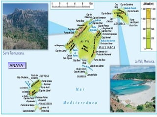 ANAYAANAYA
 