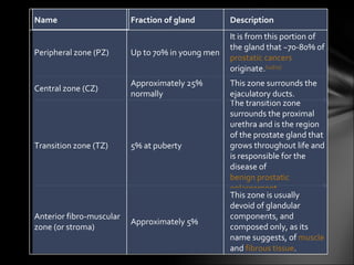 Name Fraction of gland Description Peripheral zone (PZ) Up to 70% in young men It is from this portion of the gland that ~70-80% of  prostatic cancers  originate. [14] [15] Central zone (CZ) Approximately 25% normally This zone surrounds the ejaculatory ducts. Transition zone (TZ) 5% at puberty The transition zone surrounds the proximal urethra and is the region of the prostate gland that grows throughout life and is responsible for the disease of  benign prostatic  enlargement Anterior fibro-muscular zone (or stroma) Approximately 5% This zone is usually devoid of glandular components, and composed only, as its name suggests, of  muscle  and  fibrous tissue . 