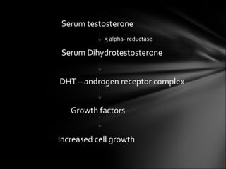  Serum testosterone   5 alpha- reductase   Serum Dihydrotestosterone     DHT – androgen receptor complex   Growth factors   Increased cell growth 